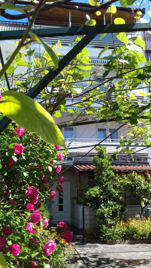 Apartment Bella Vista 波雷奇 外观 照片